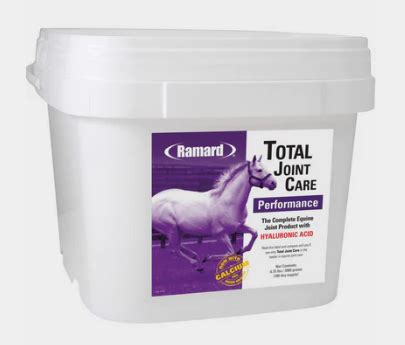 Race Horse Performance Supplements .